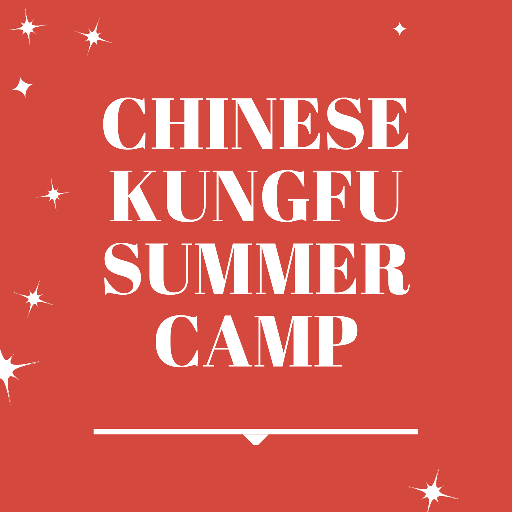 Chinese Kungfu Summer Camp