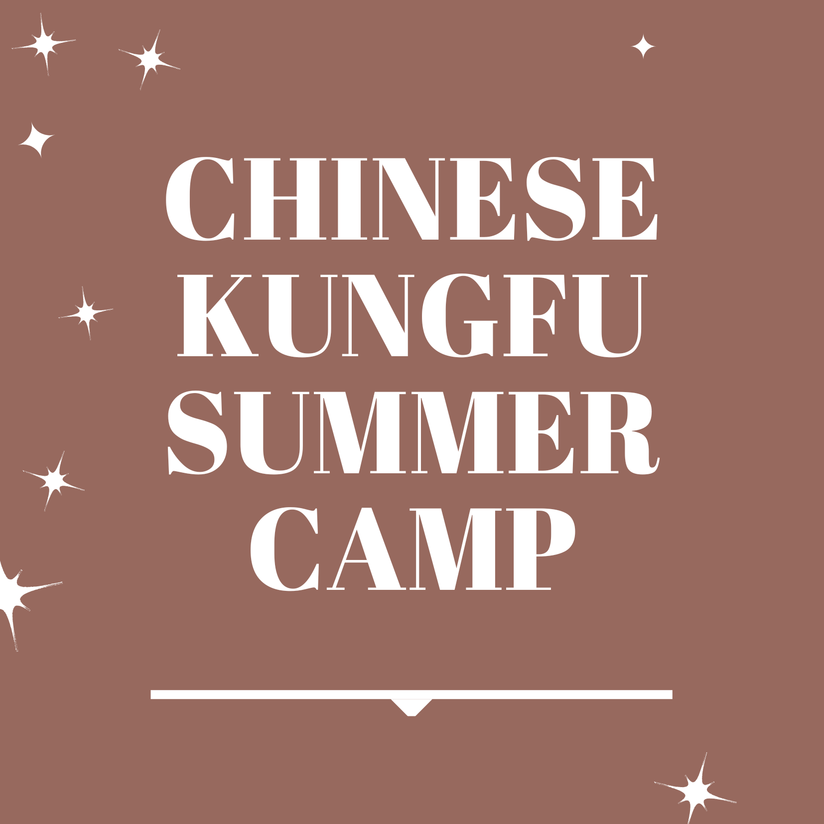 chinese kungfu summer camp