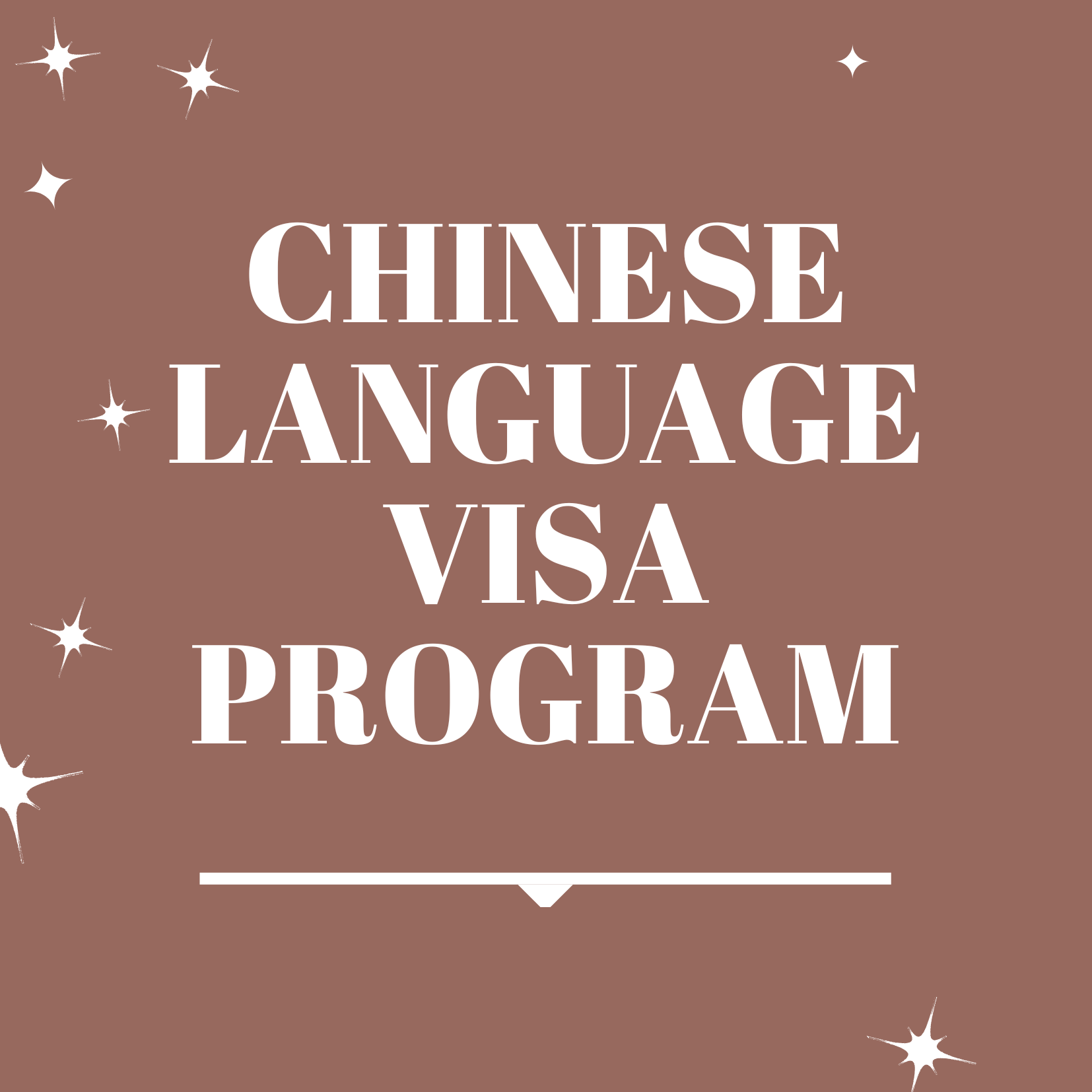 Chinese Language and Visa Program