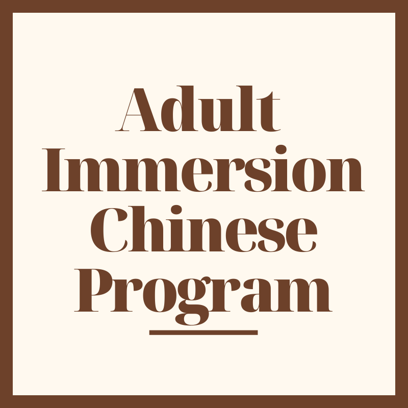 adult immersion chinese program