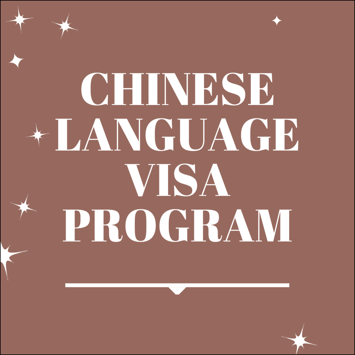 chinese visa program