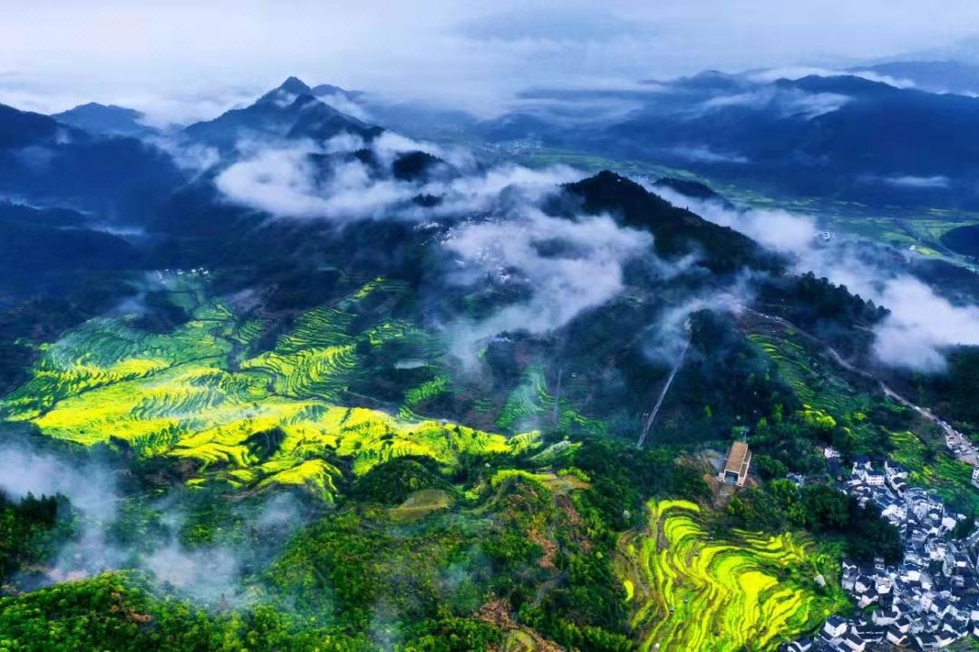 terraced fields