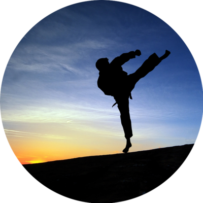 martial arts 400