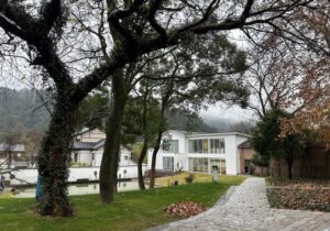 agency-service-payment