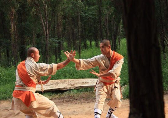 1 kung fu martial arts